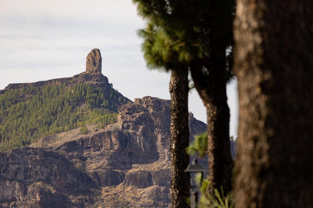 Casa Isabela With Roque Nublo View Apartment Tejeda  Bagian luar foto